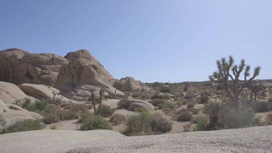 沙漠中岩石景观