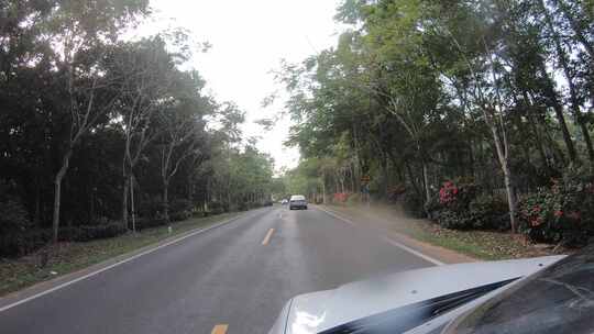 汽车行驶在海南琼海博鳌的森林公路之间