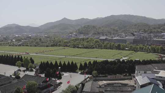 龙岩上杭县古田会议纪念馆会议会址油菜花田