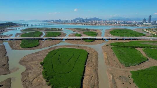 厦门航拍下潭尾湿地公园景观