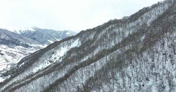 佐治亚州帕萨诺里美丽雪山的鸟瞰图