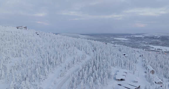 无人机向汽车倾斜，在拉普兰雪山森林中行驶