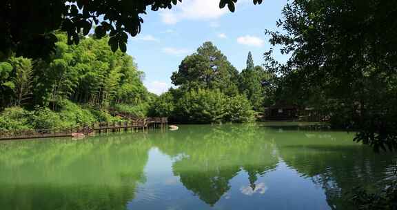 美丽的湖水绿色森林景观 常熟虞山宝岩景区