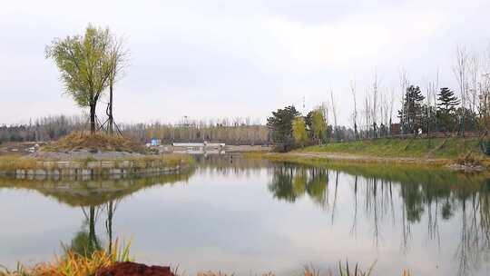 湖景湿地公园视频素材模板下载
