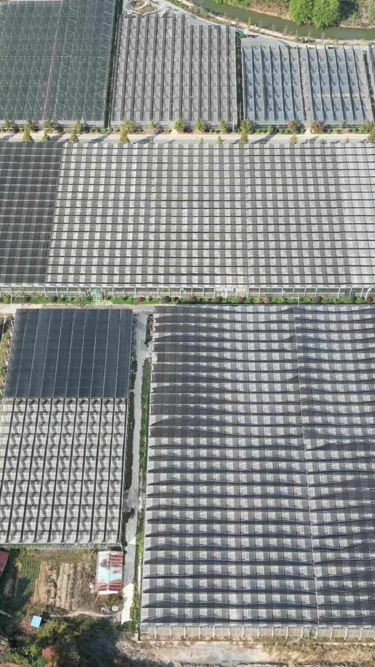 竖版航拍农业大棚种植基地航拍