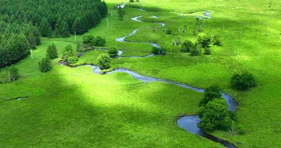 航拍自然风景草原森林绿色大自然