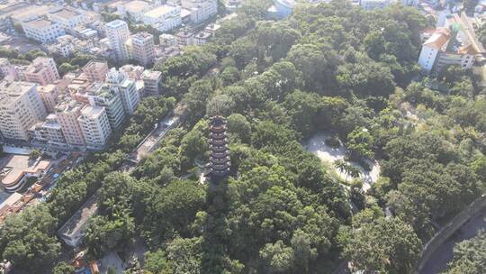 深圳 深圳龙华 龙华区 深圳市龙华区