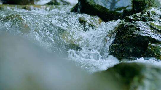 4k森林大自然山泉水溪流流水山水自然风景
