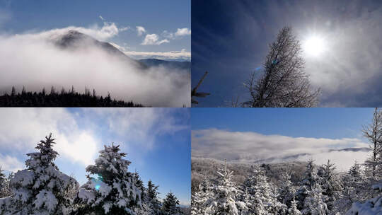 山顶森林雪景云海日出雪松雪挂风景