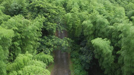 浙江杭州富阳区黄公望隐居地纪念馆航拍