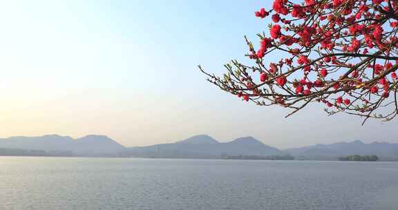 杭州西湖春天风光