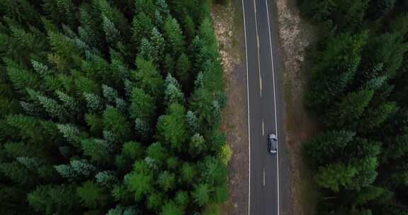 航拍汽车行驶在森林的公路中