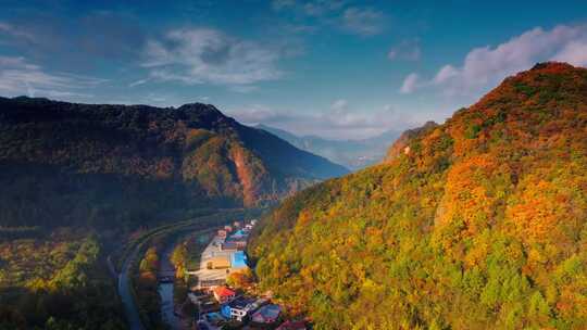 航拍秋季森林山谷 枫叶 溪流