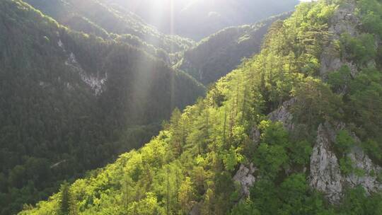 航拍高山绿植