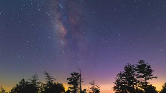 夜晚树林星空银河延时素材