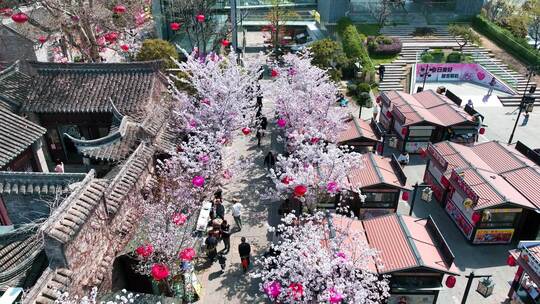 春天古建筑樱花与灯笼航拍徐州市回龙窝历史