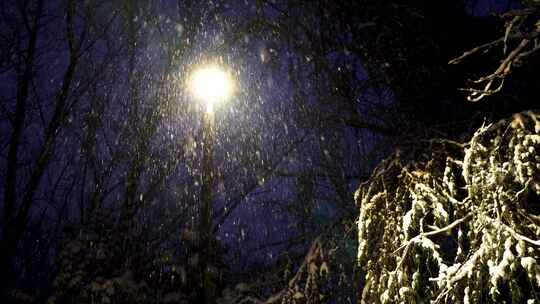 冬天雪天夜晚路灯下大雪纷飞雪花飘舞视频素材模板下载