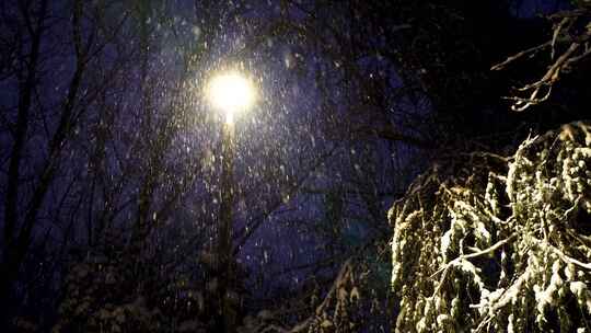 冬天雪天夜晚路灯下大雪纷飞雪花飘舞