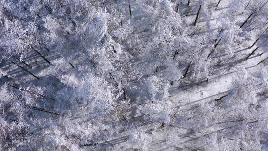 4k航拍恩施雪山雾凇风光