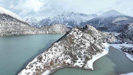 西藏昌都然乌湖，雪山，森林的航拍自然风光视频素材模板下载
