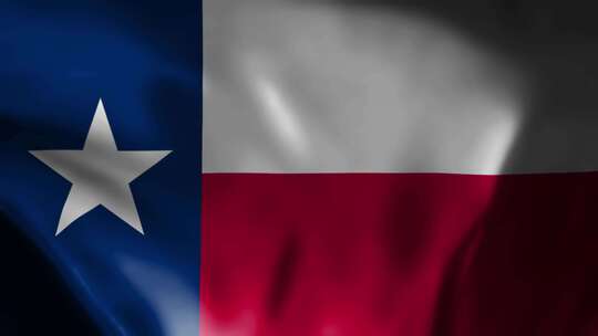 德克萨斯州挥舞旗帜。德克萨斯州挥舞动画的视频素材模板下载