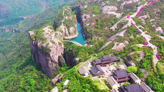 浙江温岭方山，春天的景色，杜鹃花，映山红