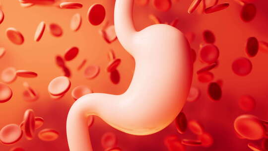 胃部消化系统医疗概念3D渲染视频素材模板下载