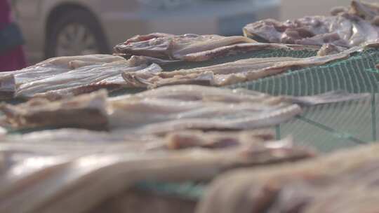 广东雷州晾晒海鲜 制作咸鱼视频素材模板下载