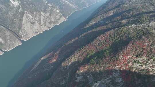 长江三峡巫峡红叶