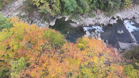 4K航拍唯美重庆黎坪森林公园河流