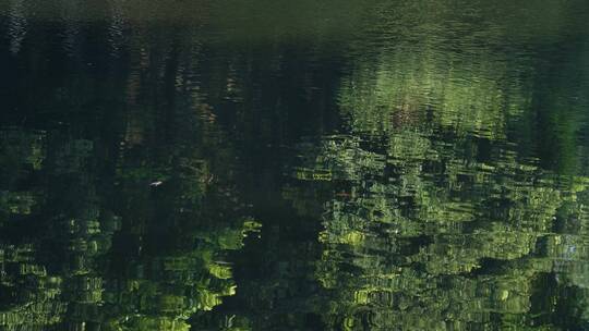 树叶在水中的倒影，唯美水面树影4k视频