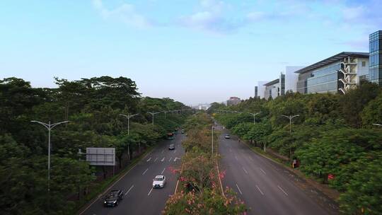 深圳龙华城市地标航拍视频