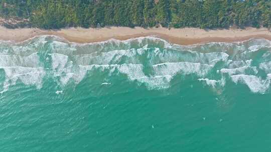 俯瞰热带海滨风光 沙滩椰林相伴