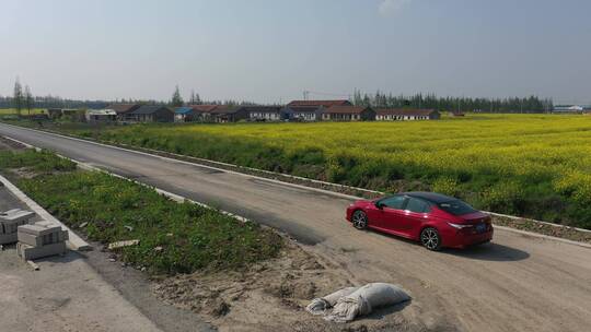 上海 崇明岛 汽车 旅拍 风景 树林