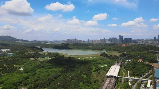 长岭陂水库  长岭皮水库