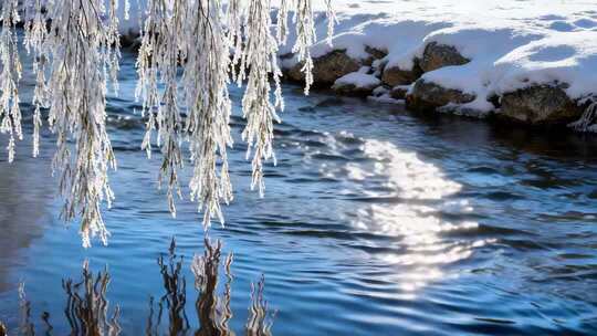 冬季溪流边结冰的柳枝景象