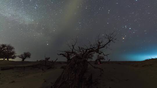 内蒙古怪树林景区星空银河