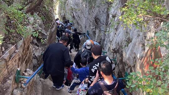 济南龙洞景区秋天粉黛乱子草、红叶