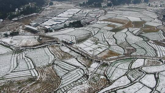 航拍 冬天 农田  梯田 农作物 雪景