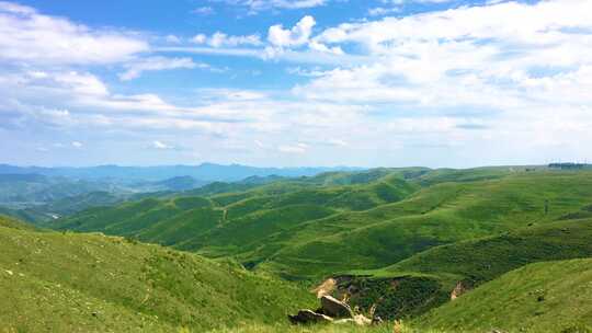 夏季张北草原天路与风力发电机组