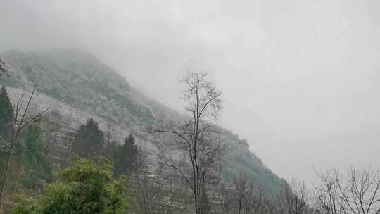 大山深处山村里下雪的场景