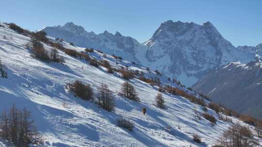 实拍登雪山画面