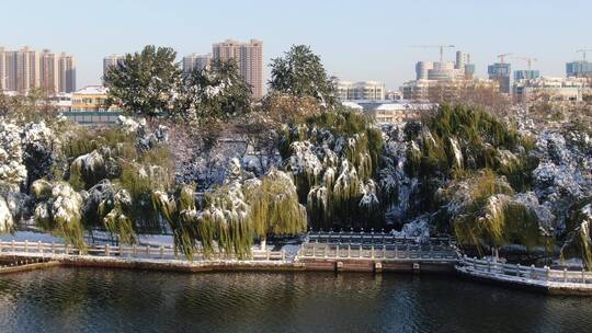 山东 济南 大明湖 5A景区 雪景 航拍