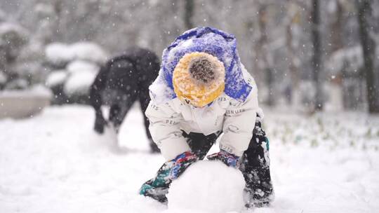 帅气小朋友雪地里滚雪球