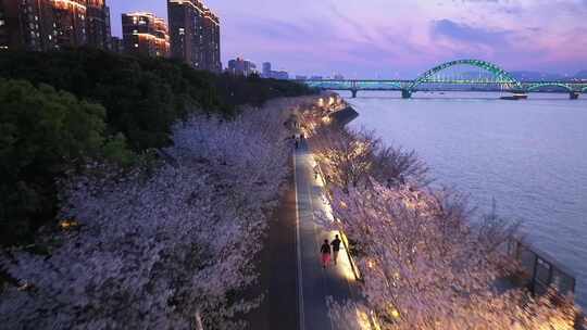 杭州滨江樱花跑道