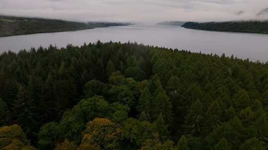 湖，森林，尼斯湖，风景