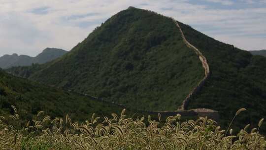 山川 野草 蓝天 白云 微风 山脉