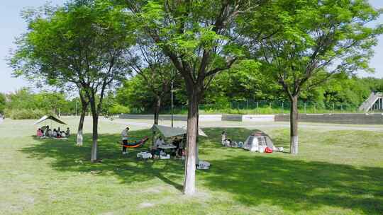 合集_西安大明宫4k航拍_1