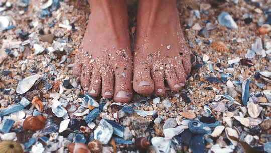 海滩上沙滩上有贝壳的女人脚视频素材模板下载
