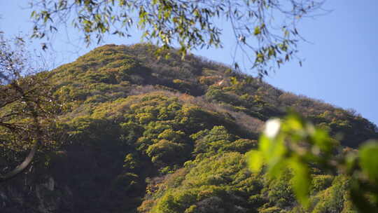 秦岭秋季风景